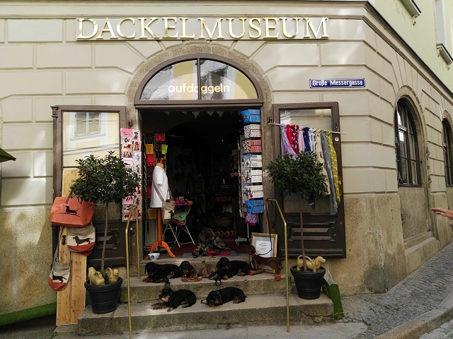 Dackelmuseum